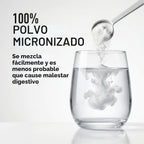 LEGION Suplemento de monohidrato de creatina micronizada, polvo de...