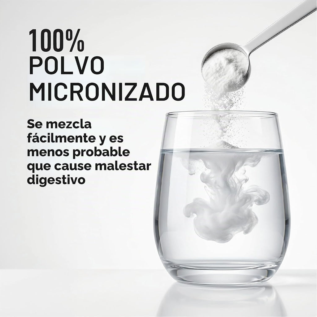 LEGION Suplemento de monohidrato de creatina micronizada, polvo de...