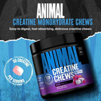 Masticables animales con monohidrato de creatina para hombres y muj...