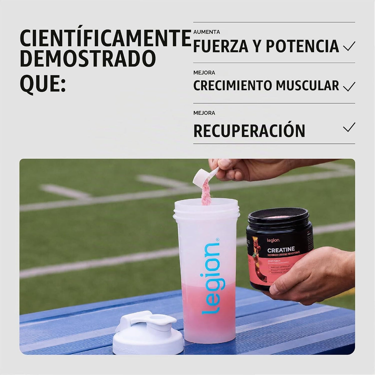 LEGION Suplemento de monohidrato de creatina micronizada, polvo de...