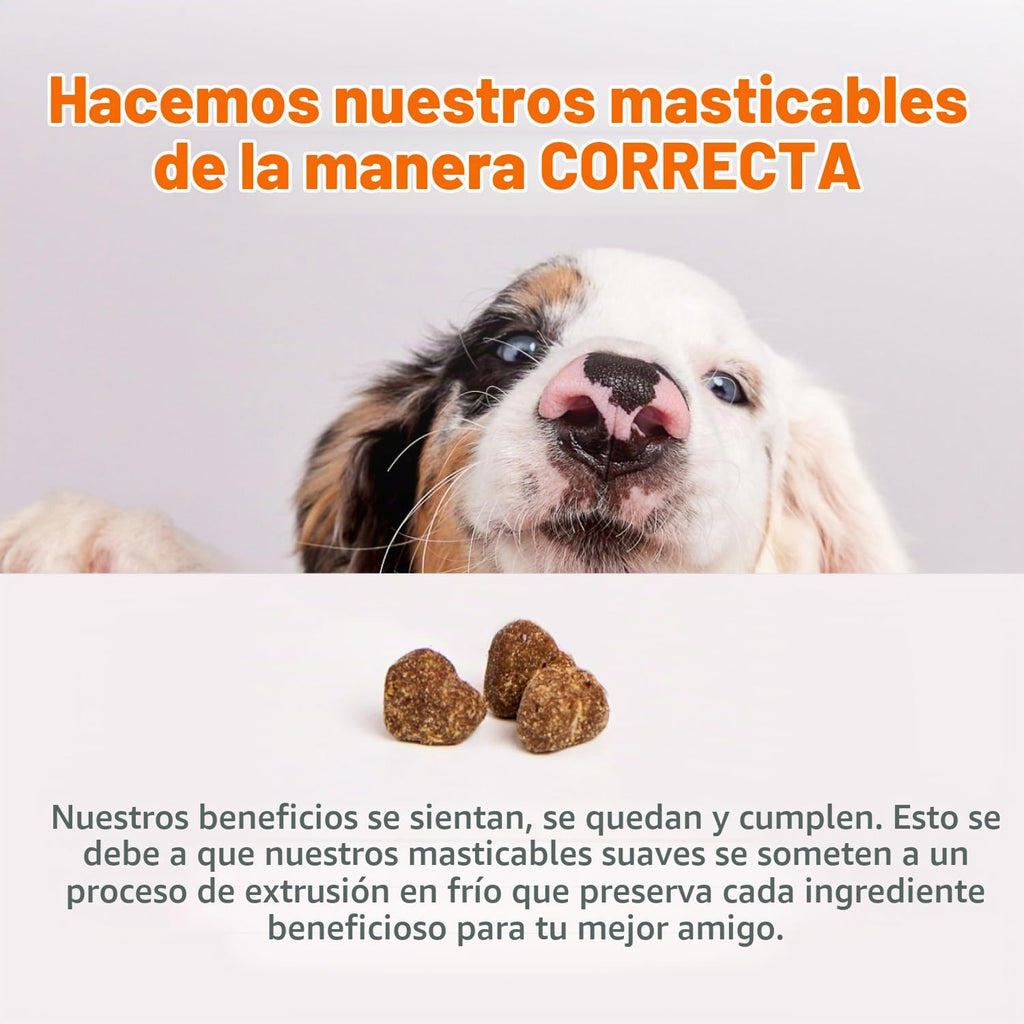 Zesty Paws Masticables para aliviar la alergia de perros, probiótic...