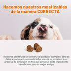 Zesty Paws Masticables para aliviar la alergia de perros, probiótic...