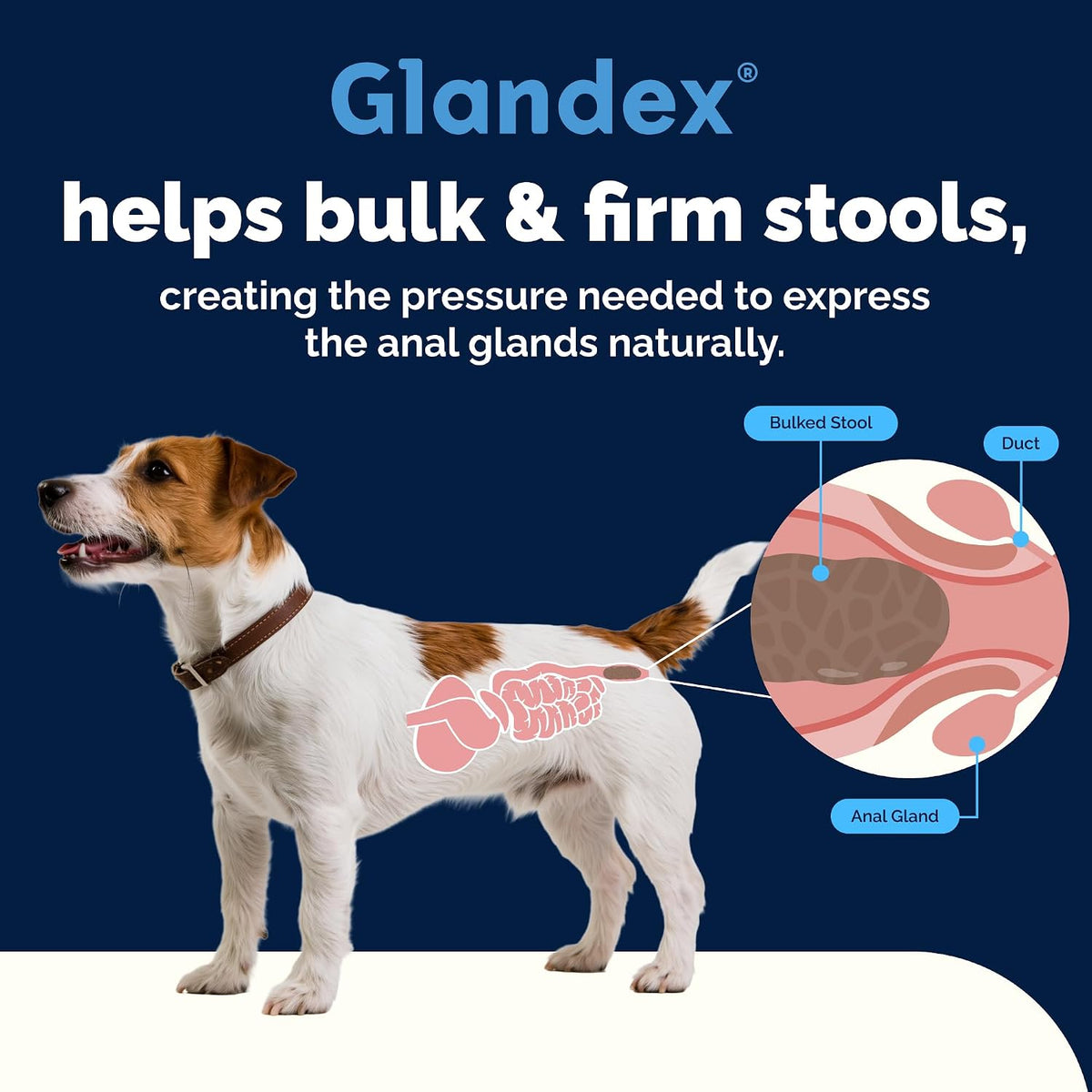 Vetnique Glandex - Masticables anales para perros, 60 unidades, cal...