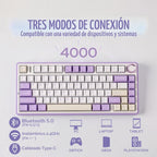 EPOMAKER x Aula F75 - Teclado mecánico con junta, 75% inalámbrico i...