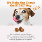 Zesty Paws Vet Strength Allergy Immune Bites - Masticables para ale...