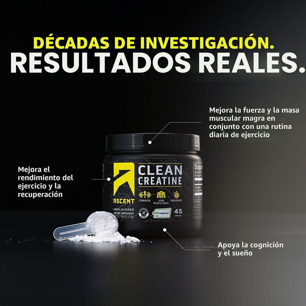 Ascent Monohidrato de creatina limpia, sin sabor, 45 porciones