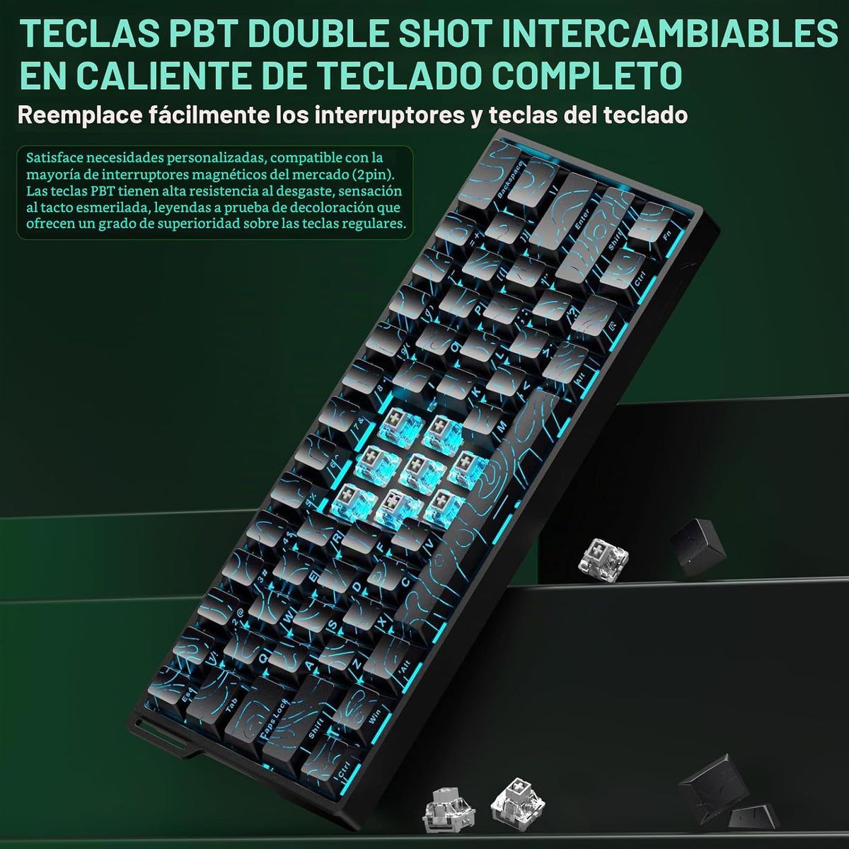 Aula WIN60 HE - Teclado mecánico 60% para juegos con cable, interru...