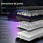 Teclado mecánico con cable HUO JI Z-99, sonido cremoso, retroilumin...