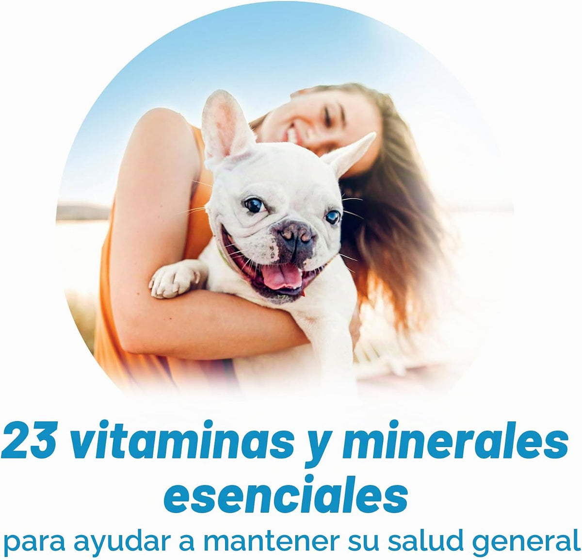 Beneful Purina IncrediBites - Alimento húmedo para perros de raza p...