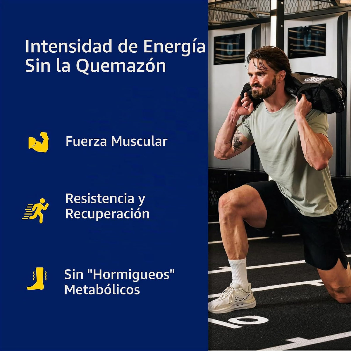BodyTech Creatina + Glutamina en polvo, sin sabor, 10.8 onzas, 30 p...