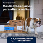 Vetnique Glandex Advanced Strength - Glándula anal masticable para...