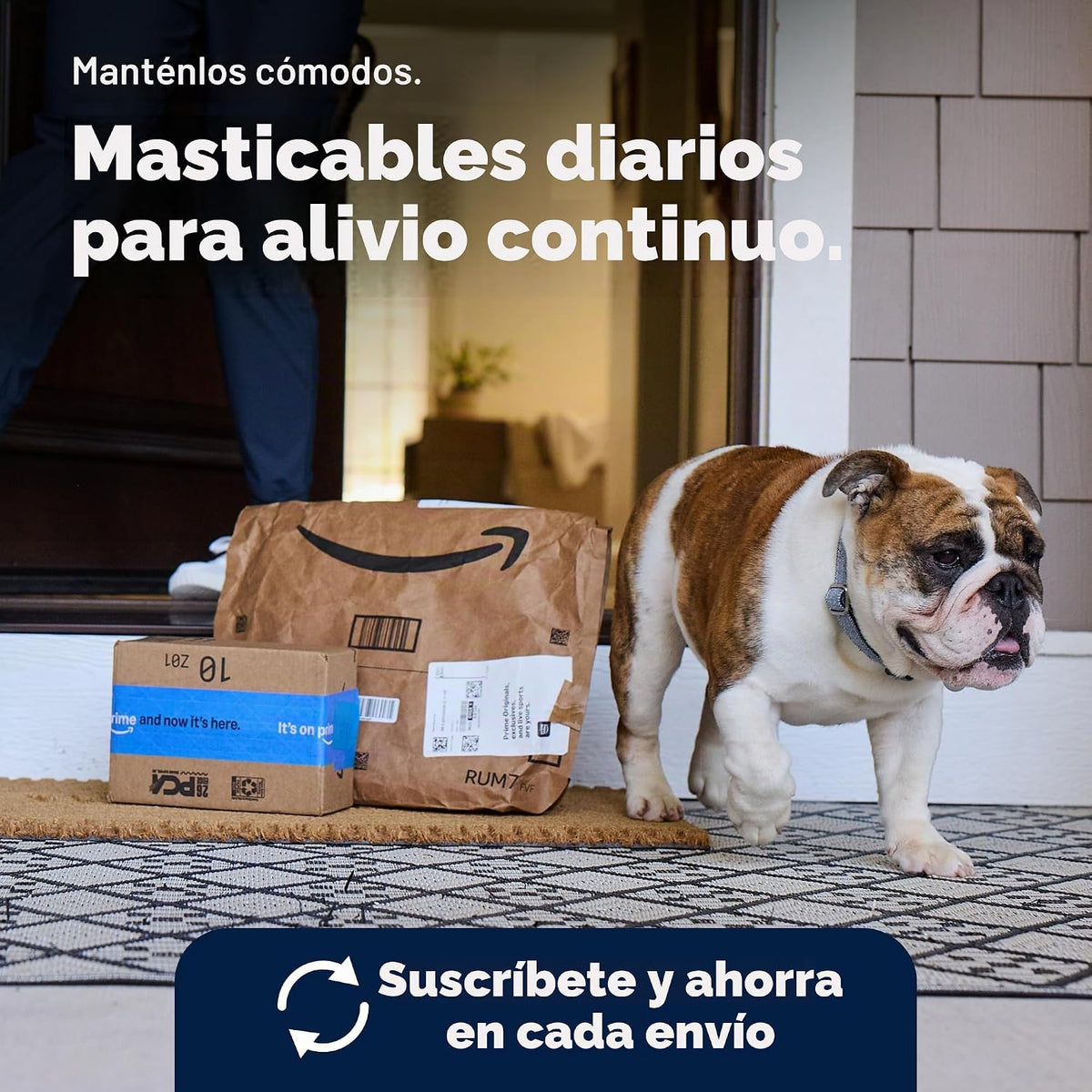 Vetnique Glandex Advanced Strength - Glándula anal masticable para...