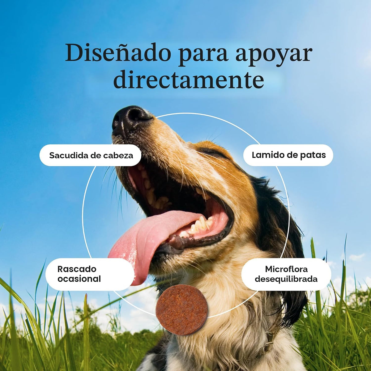 PetLab Co. Masticables probióticos para alergias e inmunes, 30 mast...