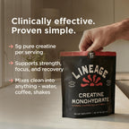 Lineage Provisions Monohidrato de creatina micronizada con sal mari...