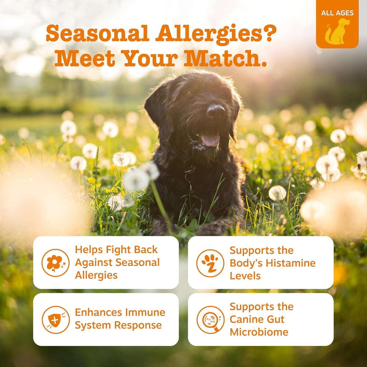 Zesty Paws - Masticables para alergias para perros, alivio de la al...