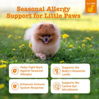 Zesty Paws Allergy Immune Bites - Masticables para alergias para pe...