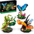 LEGO Ideas La colección de insectos, regalo divertido para los aman...