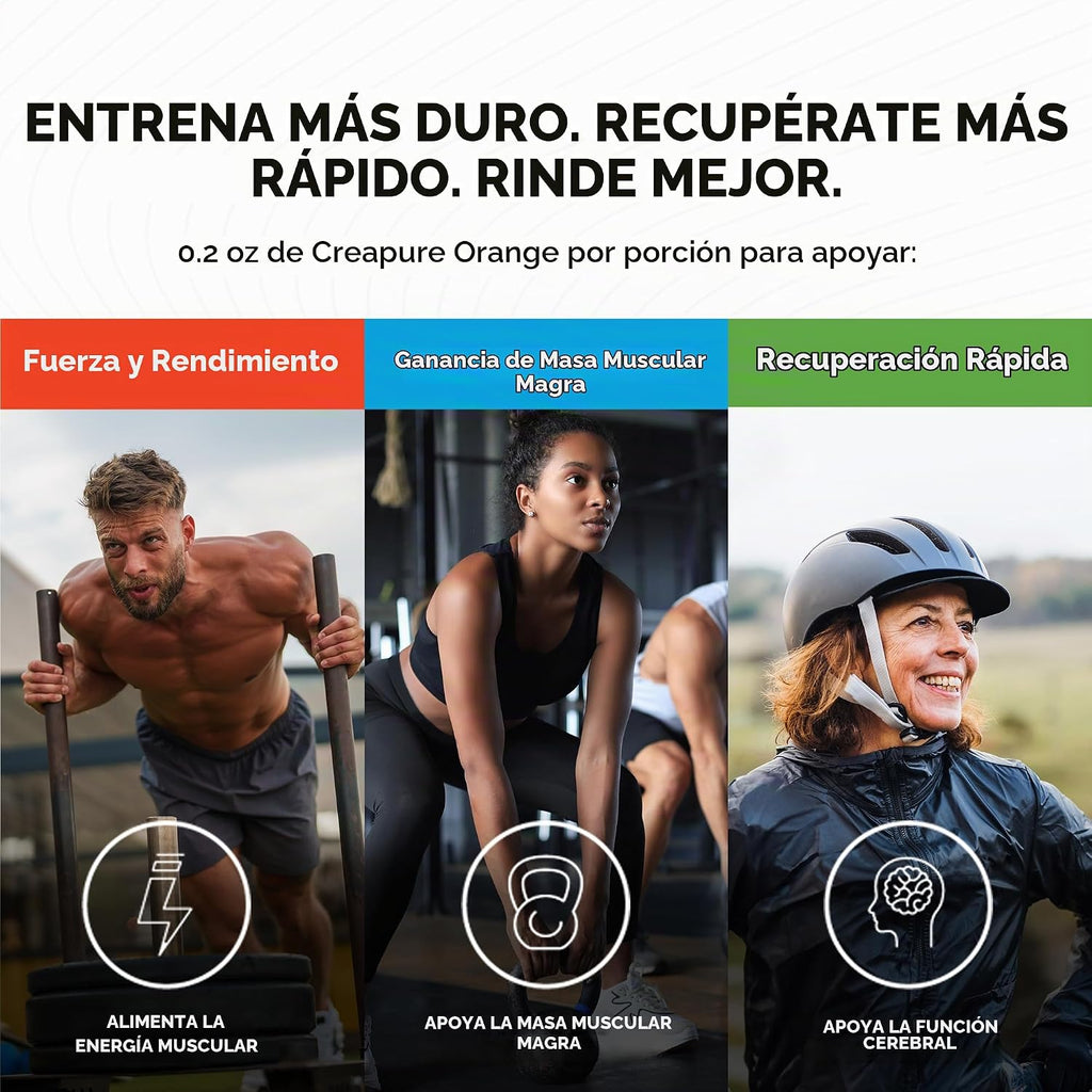 Muscle Feast Creapure Creatina Monohidrato en Polvo, Naranja (300g)...
