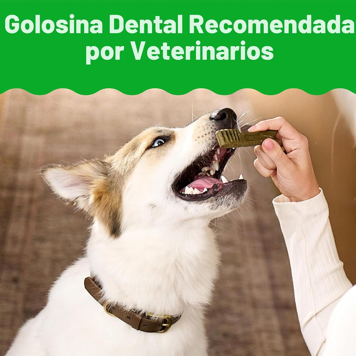Greenies Petite Natural - Golosinas dentales para perros, sabor ori...