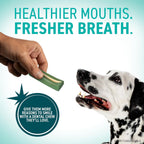 OraVet Masticables de higiene dental para perros pequeños de 10 a 2...