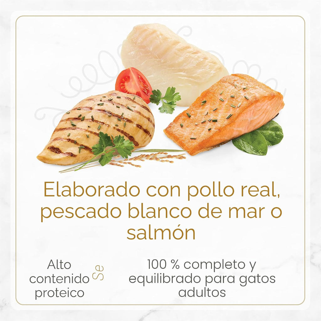 Fancy Feast Purina Gourmet - Paquete variado de alimentos húmedos p...
