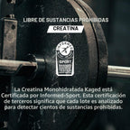 Polvo Elite de monohidrato de creatina Kagged | Sin sabor | 60 porc...