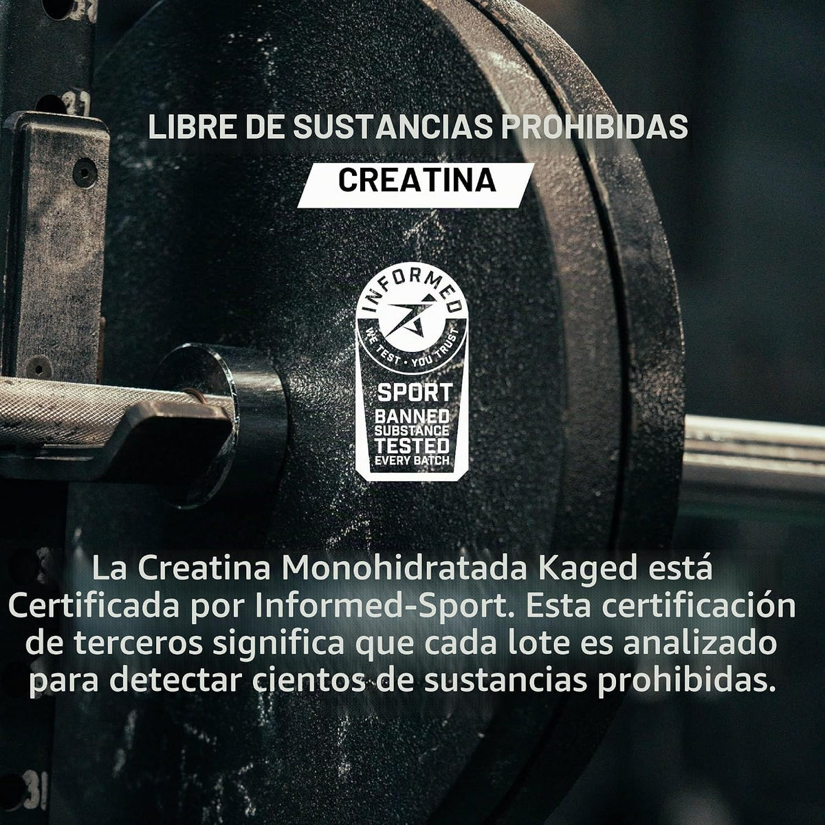Polvo Elite de monohidrato de creatina Kagged | Sin sabor | 60 porc...