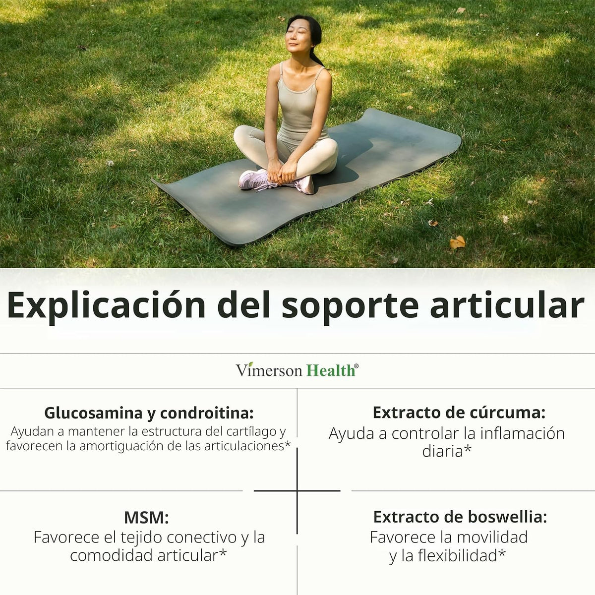 Glucosamina Condroitina MSM - Suplemento de apoyo articular para mu...
