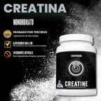 Ekkovision Polvo de monohidrato de creatina micronizado, sin sabor,...
