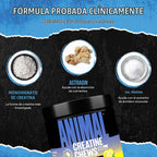 Animal Tabletas masticables de creatina, monohidrato de creatina me...