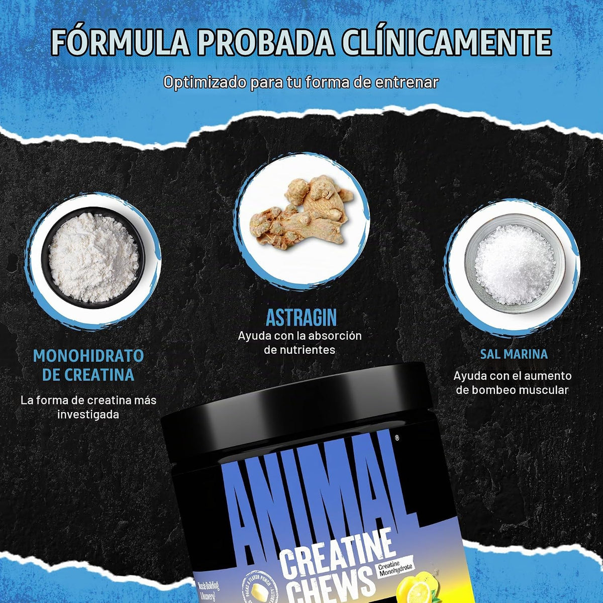 Animal Tabletas masticables de creatina, monohidrato de creatina me...