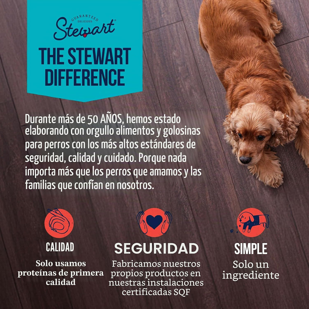 Golosinas de hígado de res para perros Stewart, 21 oz, ~475 piezas,...