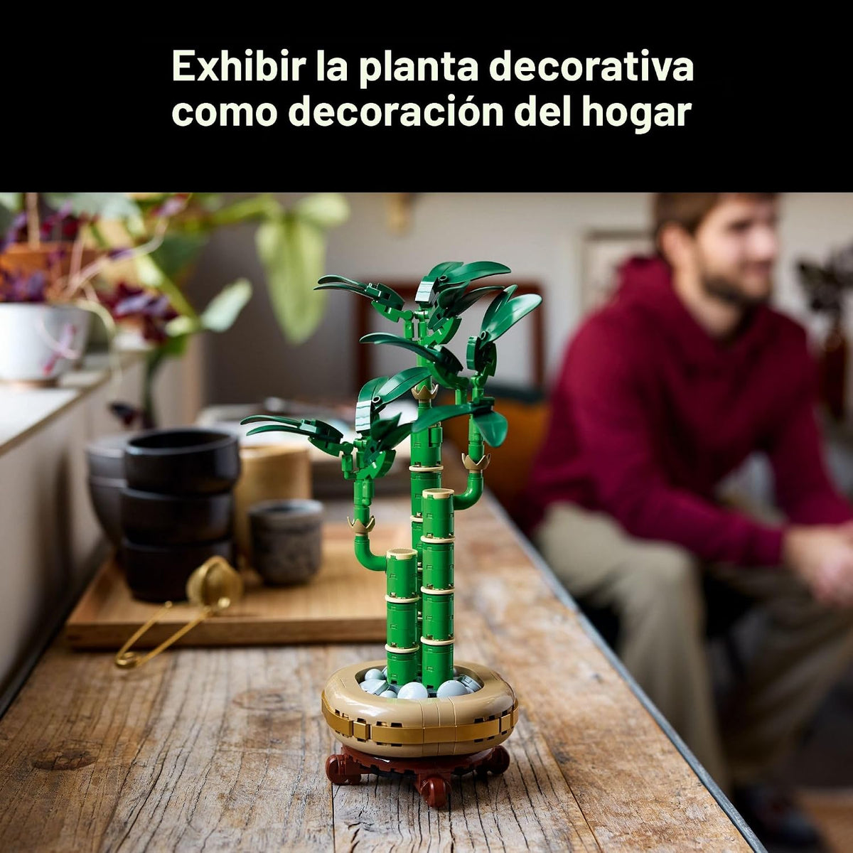 LEGO Botanicals - Juego de construcción de bambú de la suerte, plan...