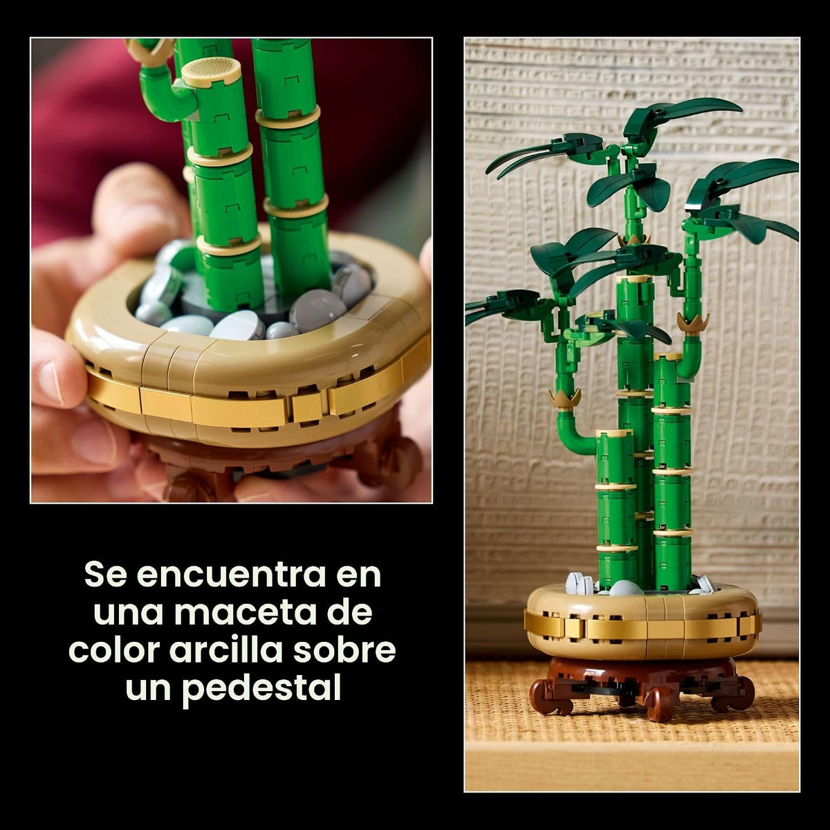 LEGO Botanicals - Juego de construcción de bambú de la suerte, plan...