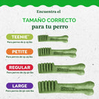 Greenies Original galletas para perro pequeño masticable dentales,...
