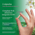 Garden of Life Complejo de vitamina B, 120 cápsulas veganas, vitami...