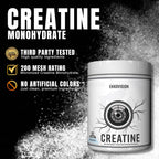 Ekkovision Polvo de Monohidrato de Creatina, Micronizado, Sin Sabor...