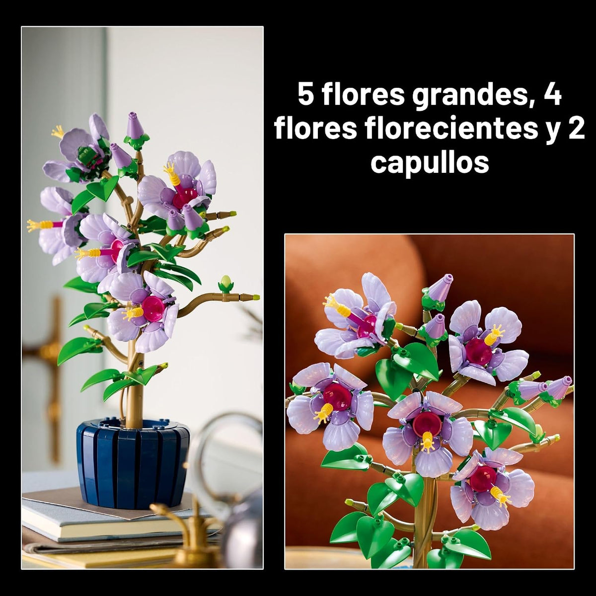 LEGO Botanicals - Juego de construcción de flores de hibisco, bloqu...