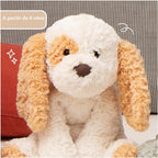GUND Cozys Collection Cachorro Peluche de Peluche de 10 Pulgadas, a...