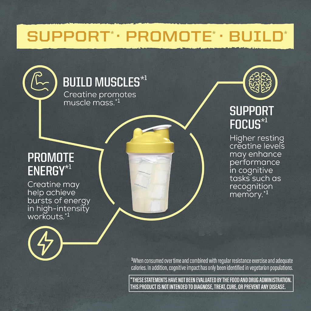Polvo de Monohidrato de Creatina Micronizado PreWorkout, Suplemento...