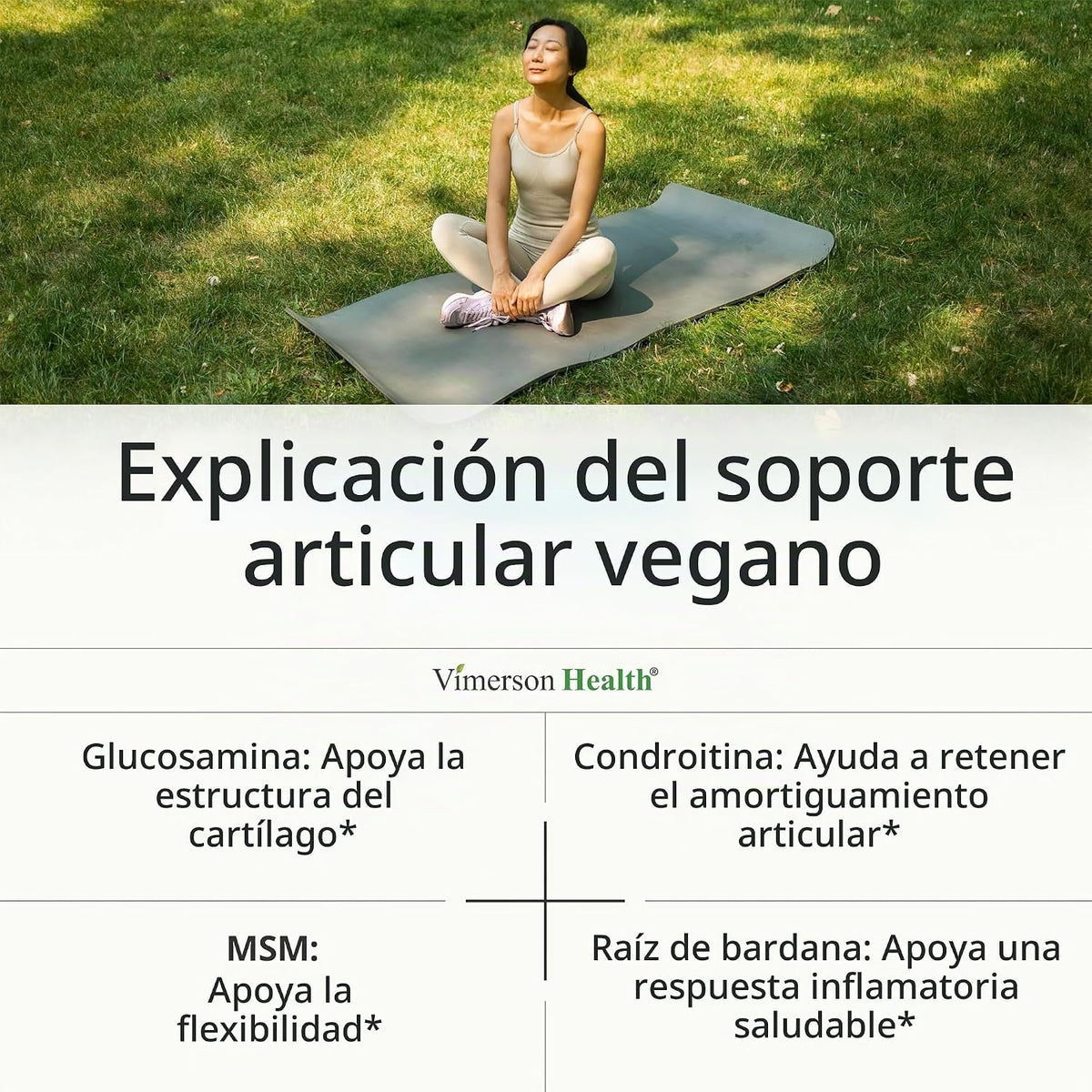 Glucosamina Condroitina MSM - Suplemento de apoyo articular para mu...