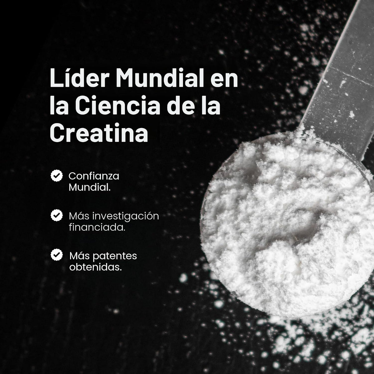 MuscleTech Monohidrato de creatina en polvo, platino puro (80 porci...