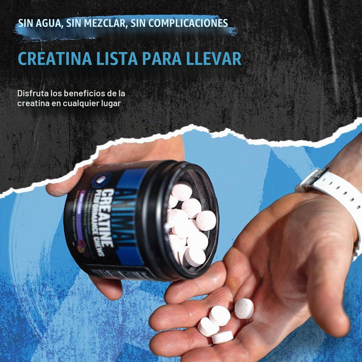 Animal Masticables de monohidrato de creatina para hombres y mujere...