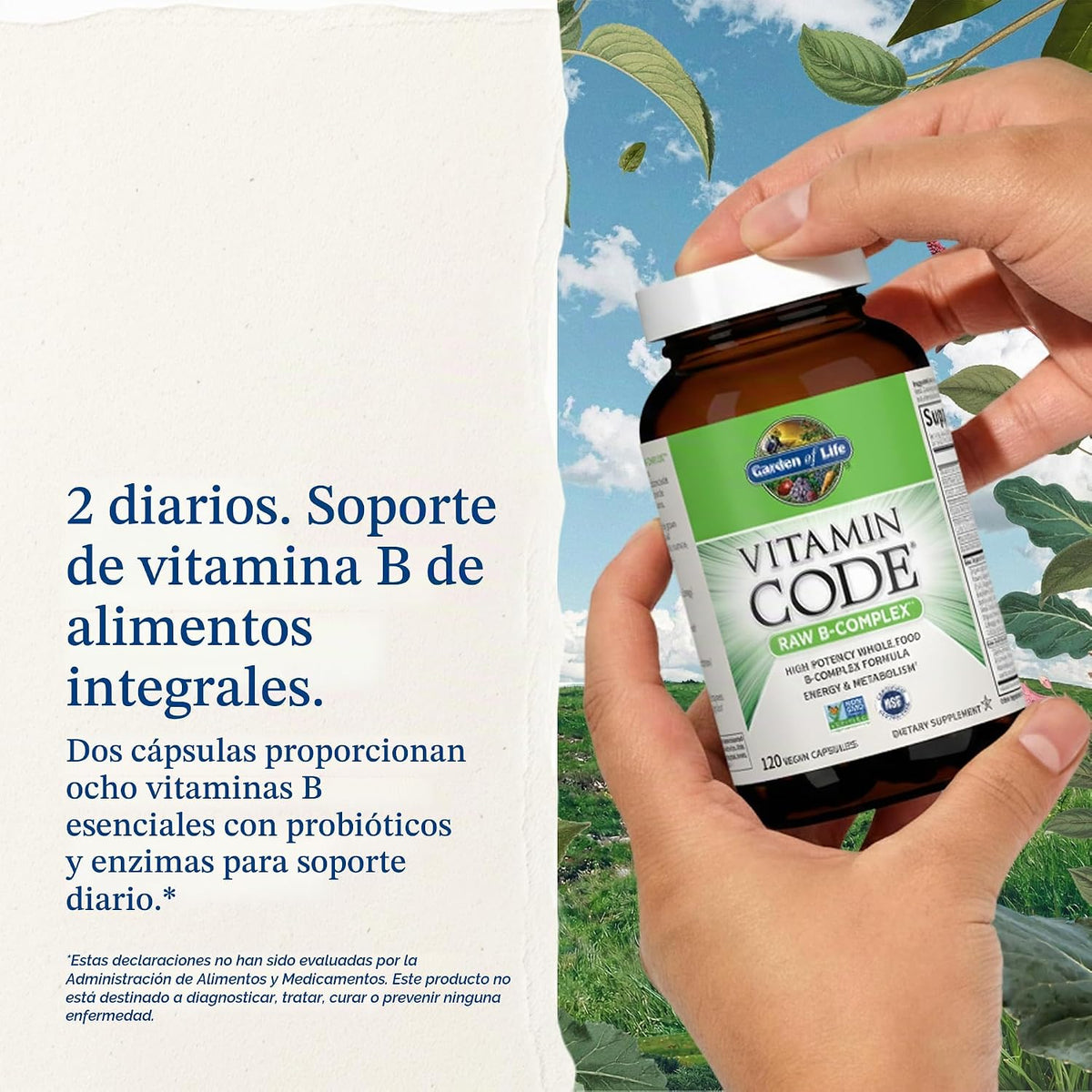 Garden of Life Complejo de vitamina B, 120 cápsulas veganas, vitami...