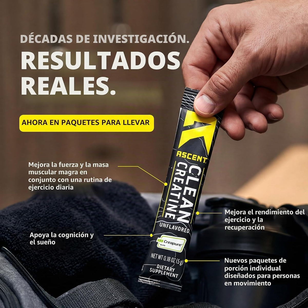 Ascent Monohidrato de creatina limpia, sin sabor, 15 porciones 5G