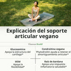 Glucosamina Condroitina MSM Vegana - Suplementos articulares para h...