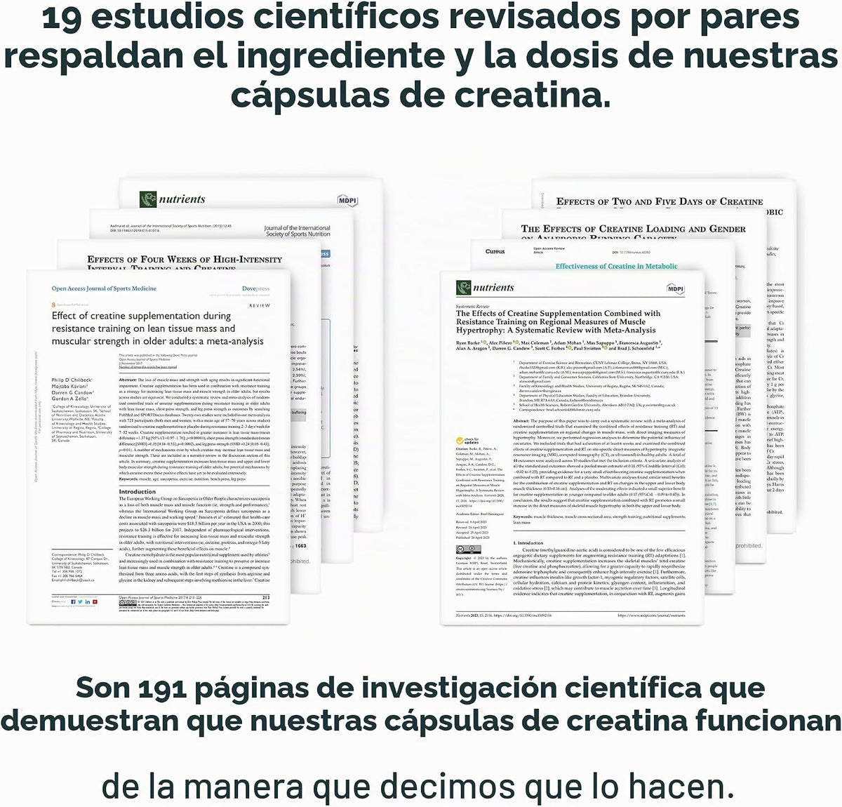 LEGION Suplemento de monohidrato de creatina micronizada - Polvo de...