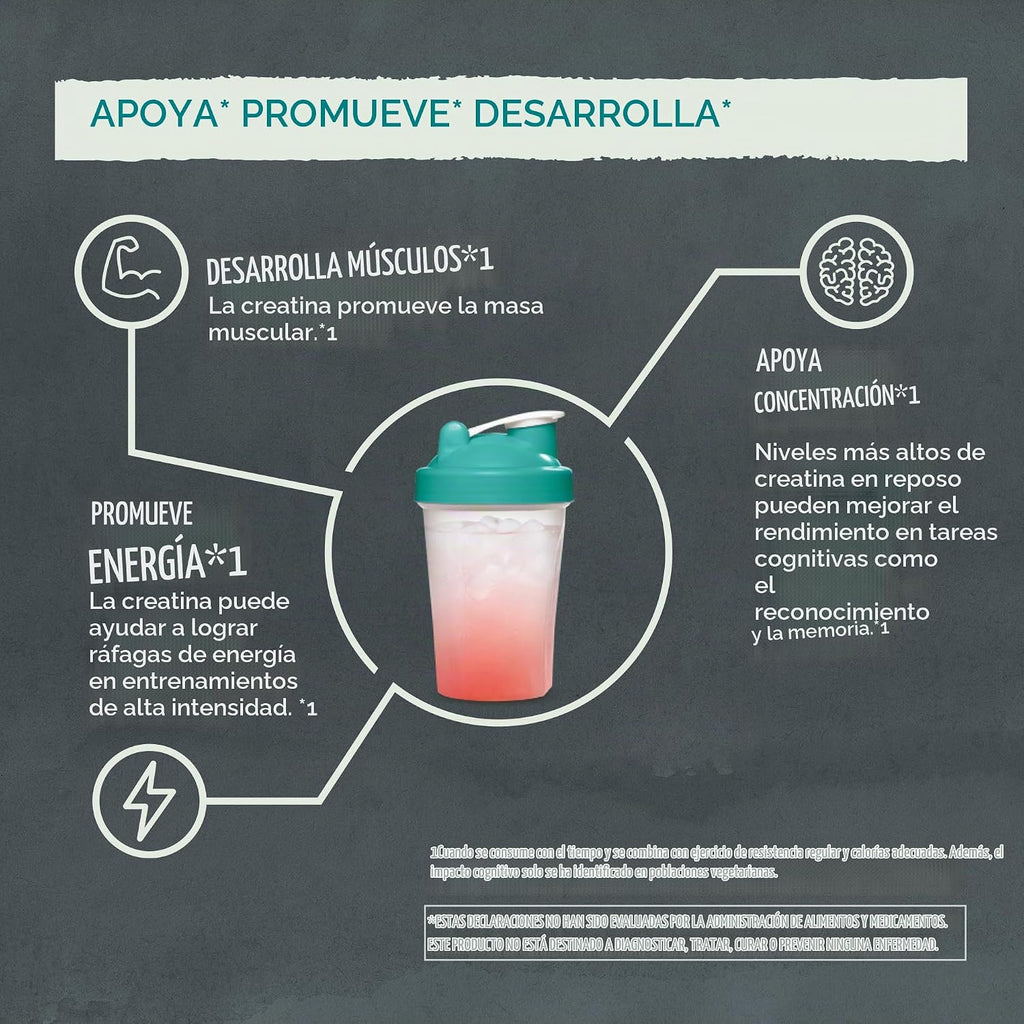 Polvo de Monohidrato de Creatina Micronizado Suplemento de Pre-Entr...