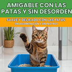 Feline Pine Platinum - Arena para gatos no aglutinante, 17 libras |...