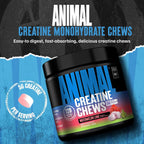 Animal Masticables de monohidrato de creatina - Hombres y mujeres |...